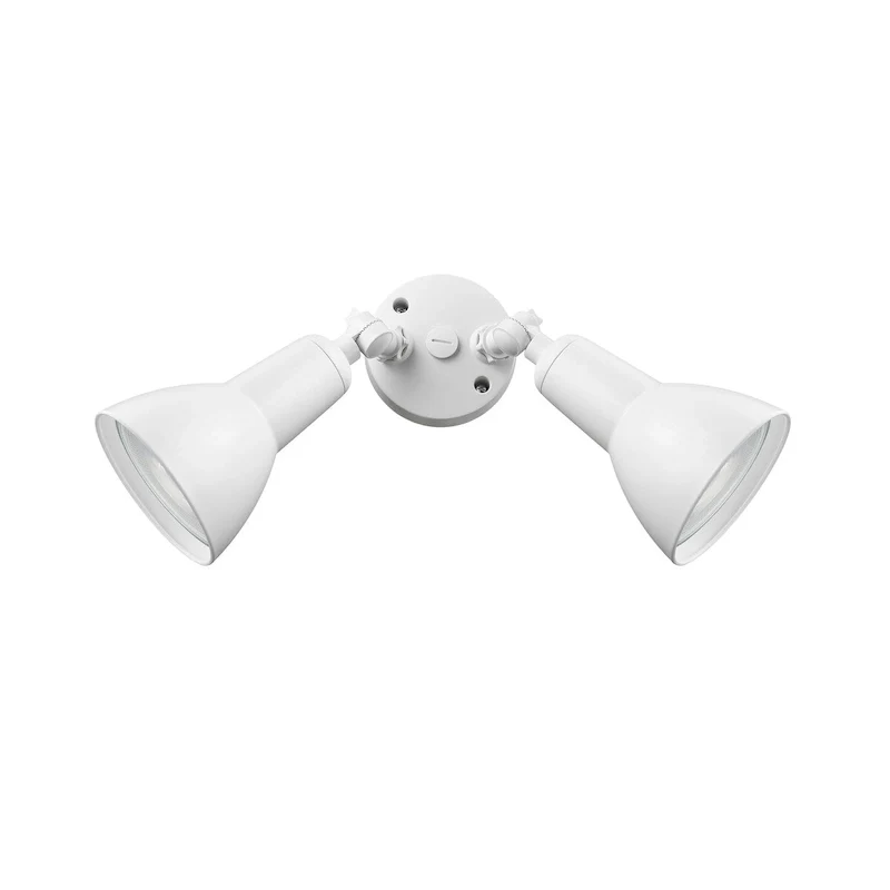 Millennium Lighting 2 Light LED Flood Light Fixture