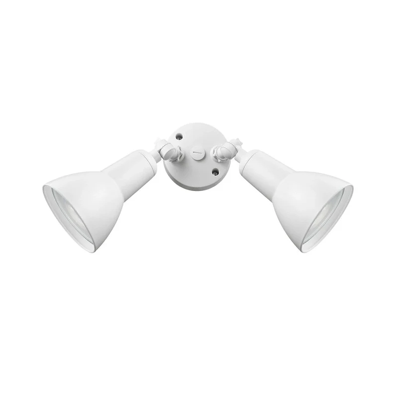 Millennium Lighting 2 Light LED Flood Light Fixture